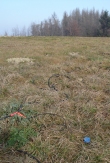 Sismografo echo24 seismic unit: esempio di disposizione per l'analisi sismica